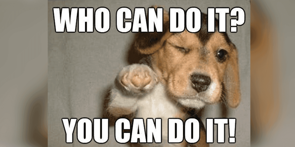 A meme depicting a dog winking at you with a text "Who can do it? You can do it!"